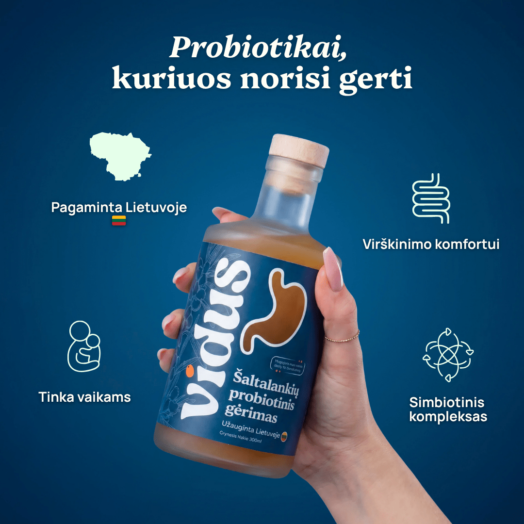Probiotinis šaltalankių gėrimas: Virškinimui ir imunitetui - tavovidus.lt